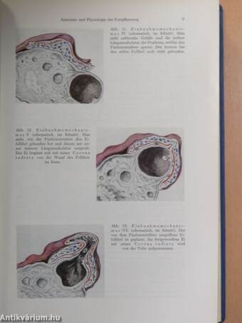 Lehrbuch Der Geburtshilfe