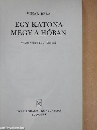 Egy katona megy a hóban