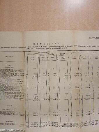 Budapest Székesfőváros Tekintetes Közigazgatási Bizottságához Jelentése Dr. Szemethy Károly tiszti főügyésznek