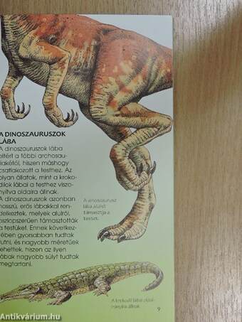 Dinoszauruszok