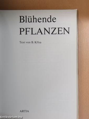 Blühende Pflanzen