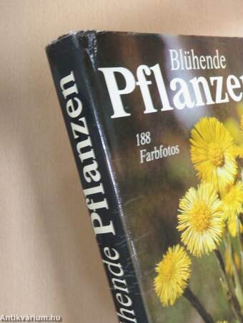 Blühende Pflanzen