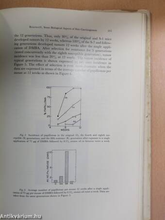 Progress in Experimental Tumor Research 4.