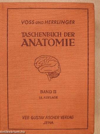 Taschenbuch der Anatomie III. (töredék)