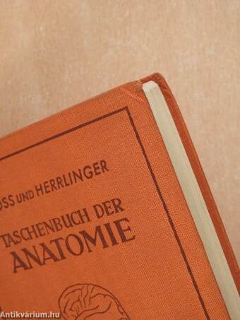 Taschenbuch der Anatomie III. (töredék)