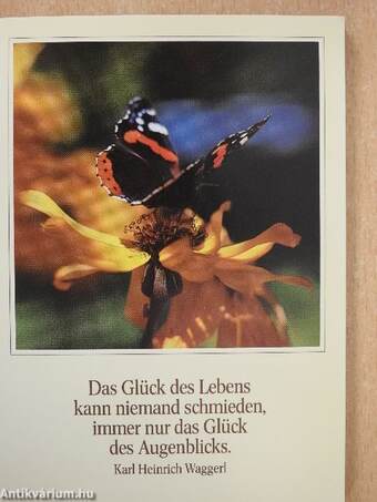 Vom Geheimnis des Glücks