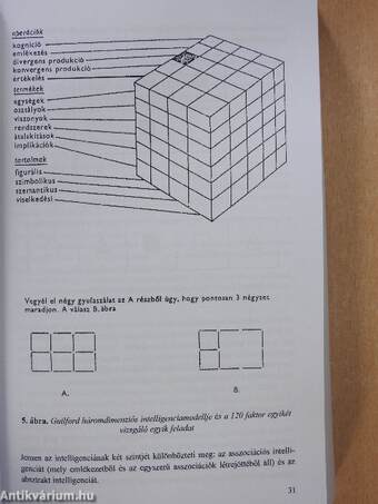 Intelligencia, kreativitás, kompetencia