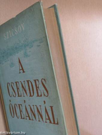 A Csendes-óceánnál