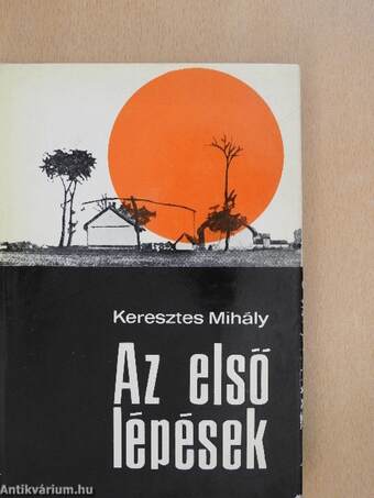 Az első lépések