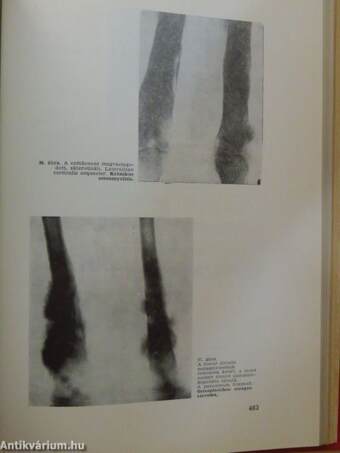 Diagnostikai és therapiás útmutató I.