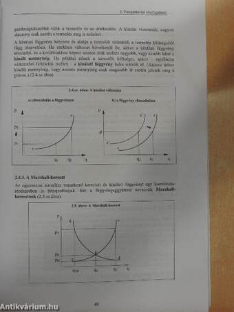 Közgazdaságtan I.