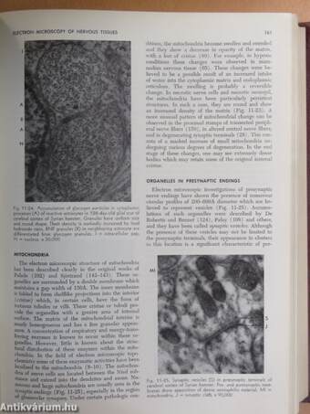 Pathology of The Nervous System I.