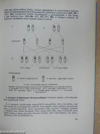 A beteg gyermek 1-2.