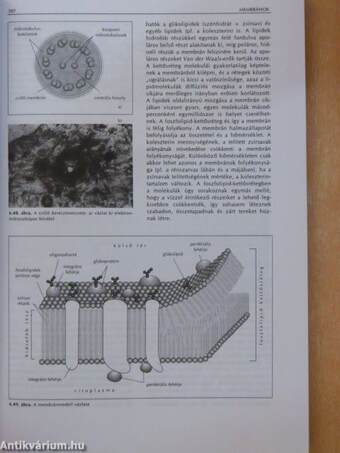 Biológia III.