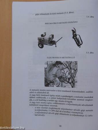 Termelési folyamatok szervezése és ökonómiája II.