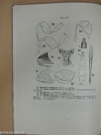 Acta Entomologica Musei Nationalis Pragae 1951. XXVII/Supplementum 1.