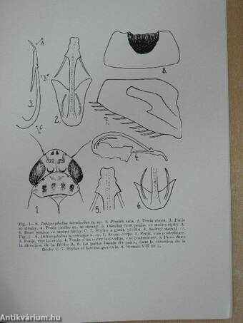 Acta Entomologica Musei Nationalis Pragae 1946. XXIV/308-324