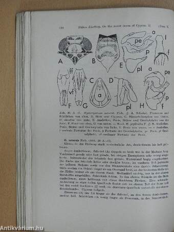 On the insect fauna of Cyprus. Results of the expedition of 1939 by Harald, Hakan and P. H. Lindberg I-III.