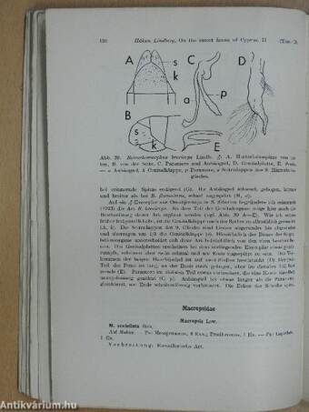 On the insect fauna of Cyprus. Results of the expedition of 1939 by Harald, Hakan and P. H. Lindberg I-III.