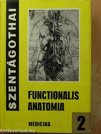 Functionalis anatomia 2.