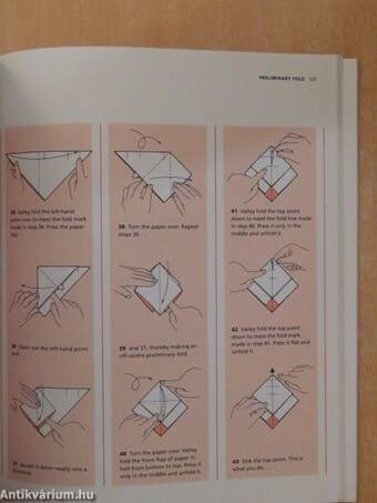 Step-By-Step Origami