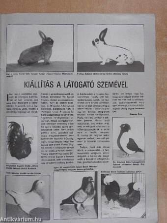 Kistermelők Lapja 1993. (nem teljes évfolyam)