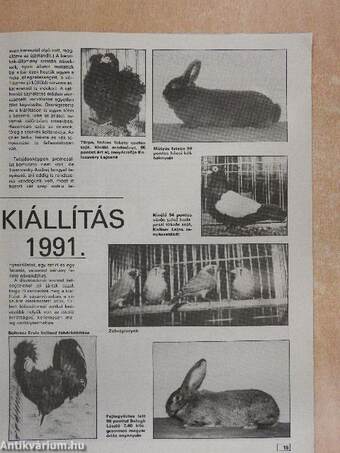 Kistermelők Lapja 1992. (nem teljes évfolyam)