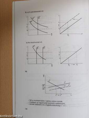 Makroökonómiai példatár és feladatgyűjtemény