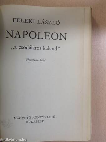 Napoleon 3. (töredék)