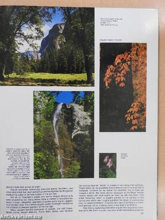 A Photographic and Comprehensive Guide to Yosemite National Park