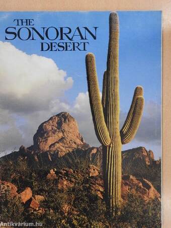 The Sonoran Desert