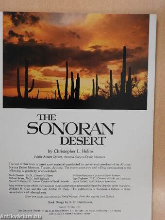 The Sonoran Desert