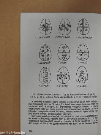 Ellenálló erőnk, védekezőképességünk fokozása természetes módszerekkel