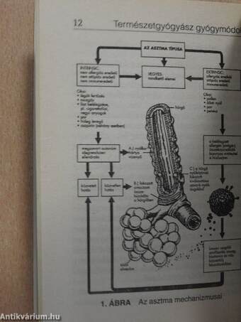 Mindennapi bajainkra természetgyógyász gyógymódok