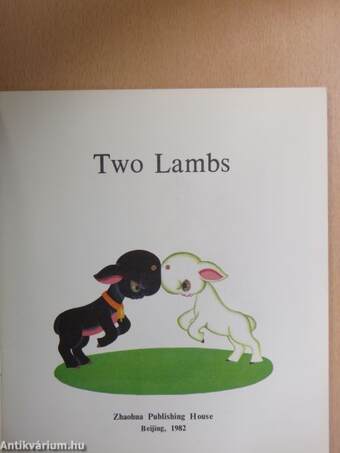 Two Lambs