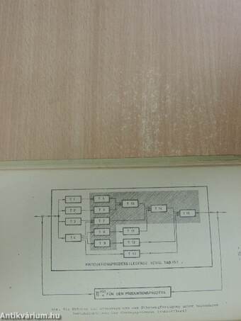 Grundlagen der Algorithmierung ökonomischer Steuerprozesse