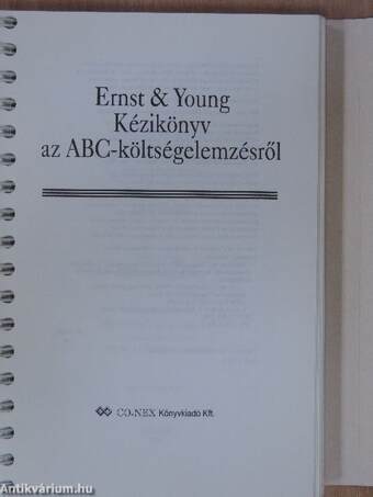 Ernst & Young Kézikönyv az ABC-költségelemzésről