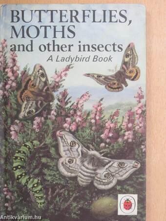 Butterflies, Moths and other insects