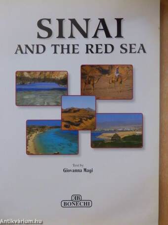 Sinai And The Red Sea