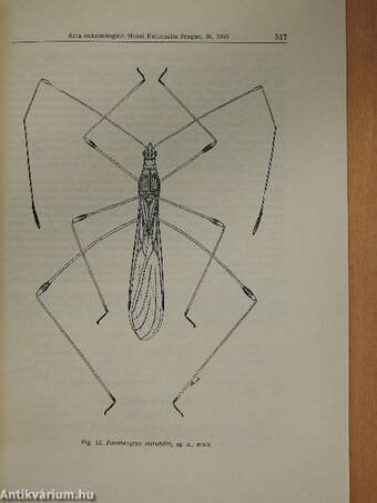 Berytidae (Heteroptera) of Congo (Léopoldville), Rwanda and Burundi