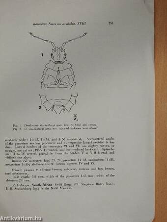 Notes on Aradidae from the Eastern Hemisphere XVIII.