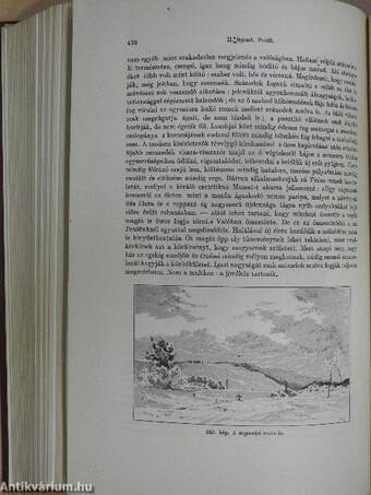 A magyar irodalom története 1900-ig