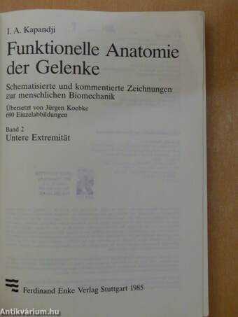 Funktionelle Anatomie der Gelenke 2.