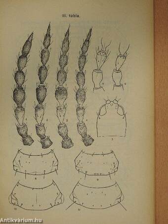 Folia Entomologica Hungarica 1938/1-2.