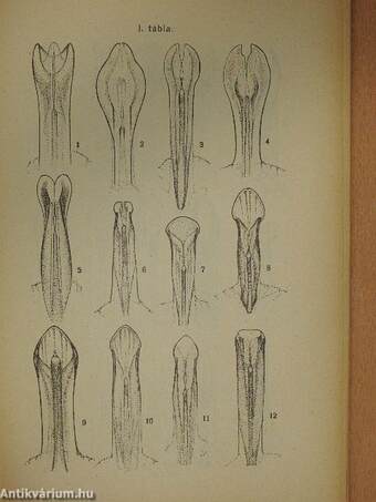 Folia Entomologica Hungarica 1938/1-2.