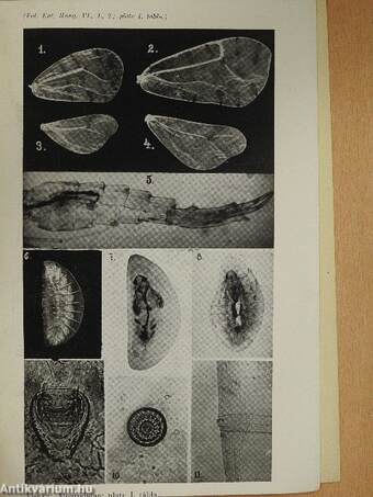 Folia Entomologica Hungarica 1941/1-2.