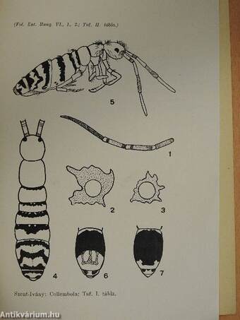 Folia Entomologica Hungarica 1941/1-2.