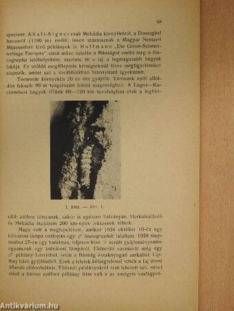 Folia Entomologica Hungarica 1941/3-4.