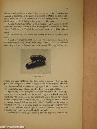 Folia Entomologica Hungarica 1941/3-4.