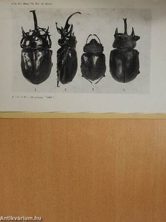 Folia Entomologica Hungarica 1941/3-4.